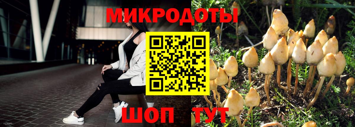 Псилоцибиновые грибы мухоморы Когалым